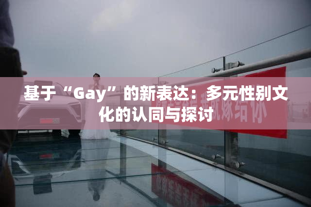 基于“Gay”的新表达：多元性别文化的认同与探讨