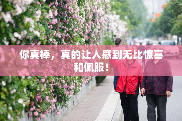 你真棒，真的让人感到无比惊喜和佩服！