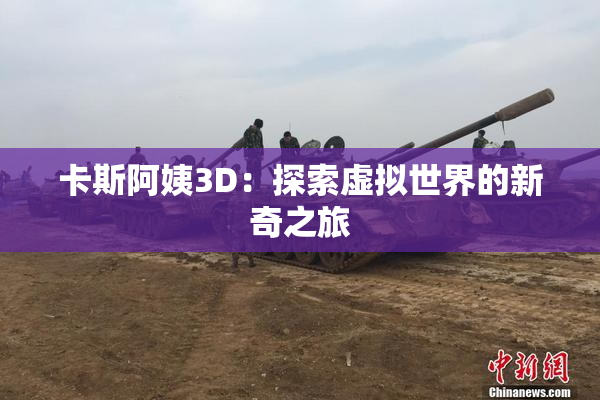 卡斯阿姨3D：探索虚拟世界的新奇之旅