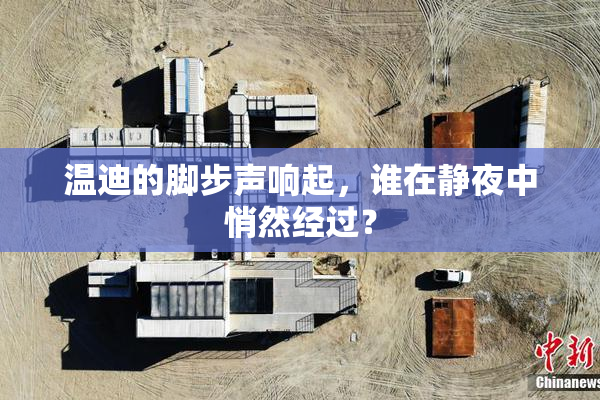 温迪的脚步声响起，谁在静夜中悄然经过？