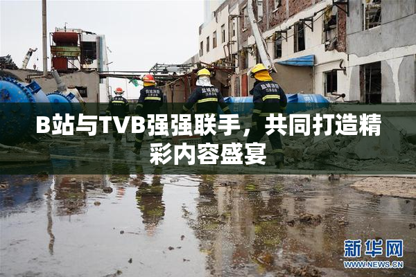 B站与TVB强强联手，共同打造精彩内容盛宴