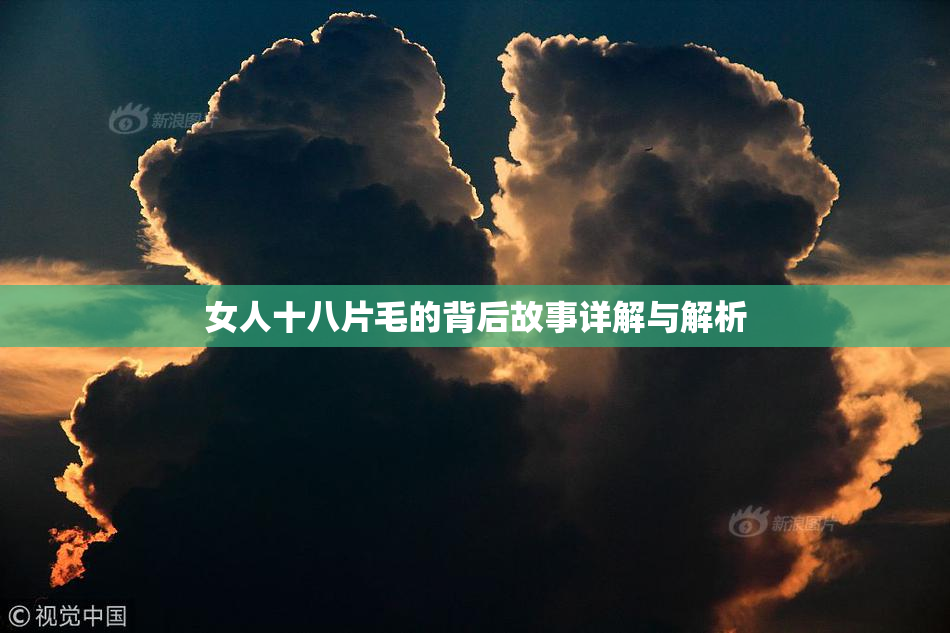 女人十八片毛的背后故事详解与解析