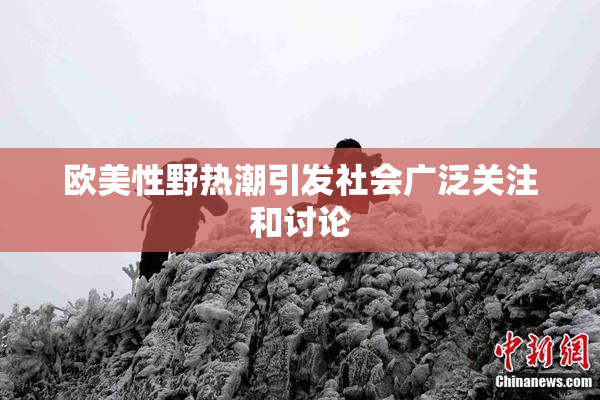 欧美性野热潮引发社会广泛关注和讨论