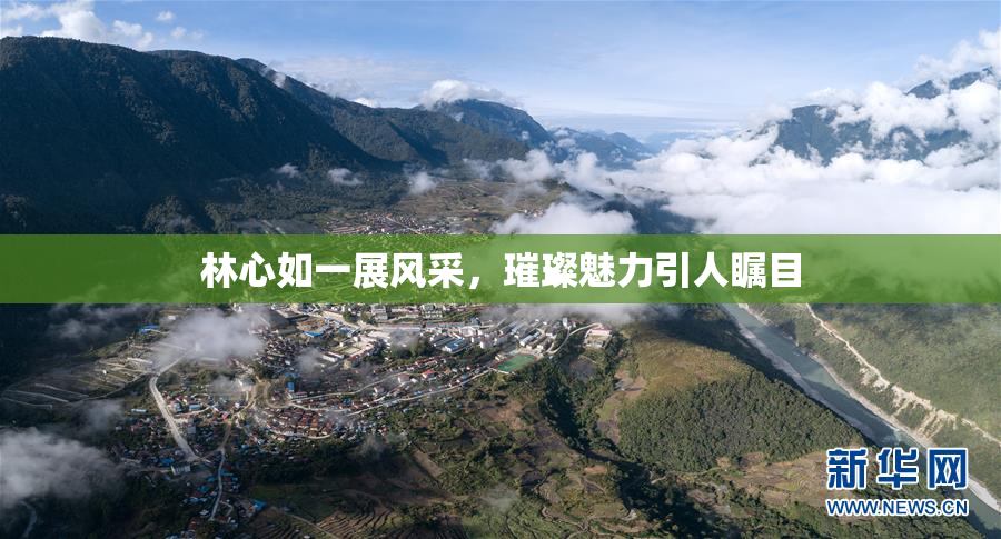 林心如一展风采，璀璨魅力引人瞩目