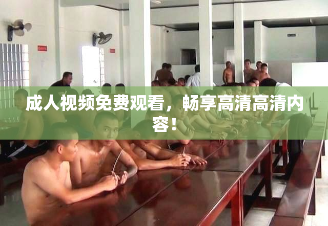 成人视频免费观看，畅享高清高清内容！