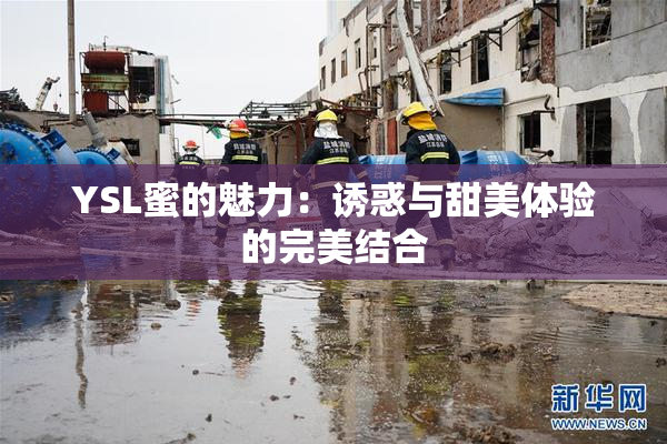 YSL蜜的魅力：诱惑与甜美体验的完美结合