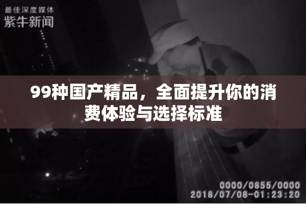 99种国产精品，全面提升你的消费体验与选择标准