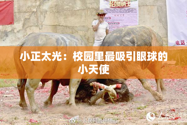 小正太光：校园里最吸引眼球的小天使