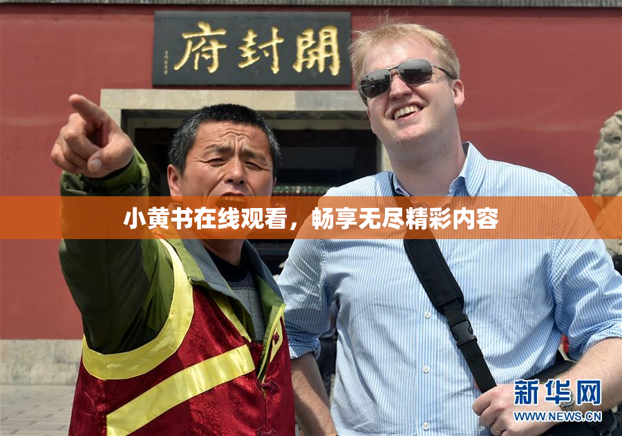 小黄书在线观看，畅享无尽精彩内容