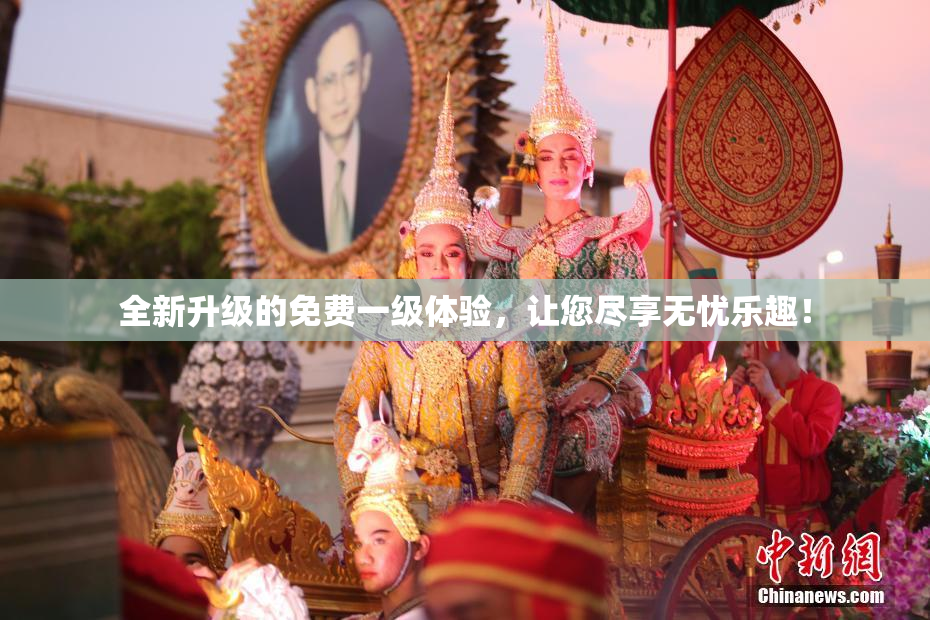 全新升级的免费一级体验，让您尽享无忧乐趣！