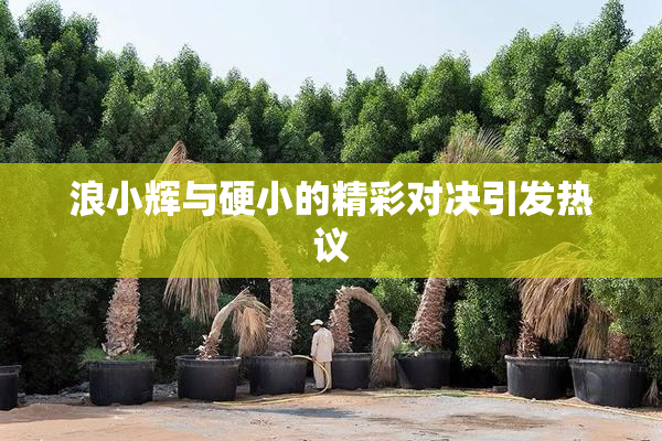 浪小辉与硬小的精彩对决引发热议