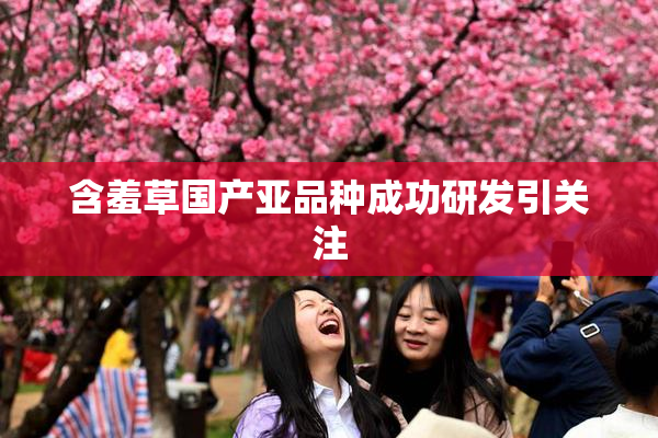 含羞草国产亚品种成功研发引关注