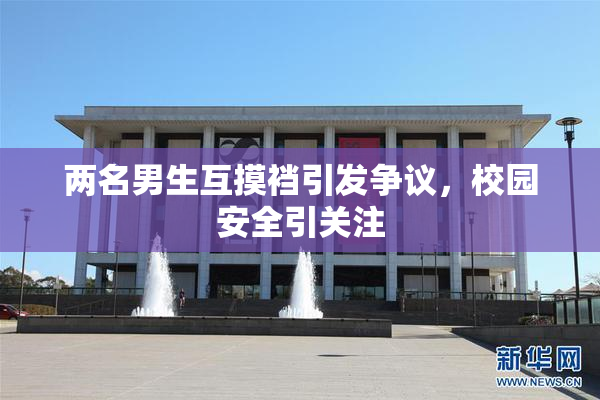 两名男生互摸裆引发争议，校园安全引关注