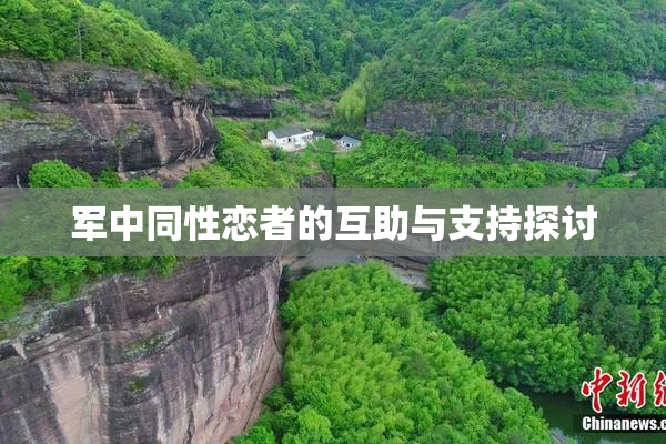 军中同性恋者的互助与支持探讨
