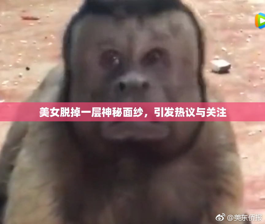 美女脱掉一层神秘面纱，引发热议与关注