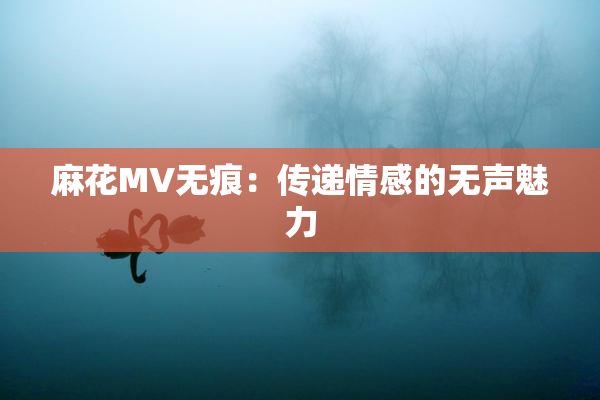 麻花MV无痕：传递情感的无声魅力