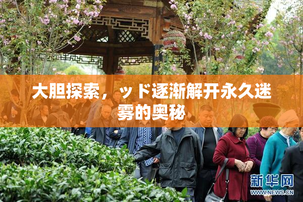 大胆探索，ッド逐渐解开永久迷雾的奥秘