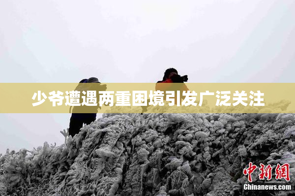 少爷遭遇两重困境引发广泛关注