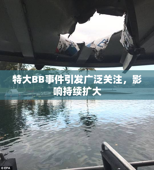特大BB事件引发广泛关注，影响持续扩大