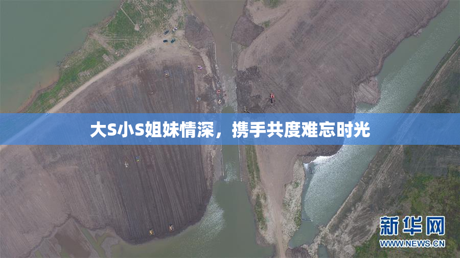 大S小S姐妹情深，携手共度难忘时光