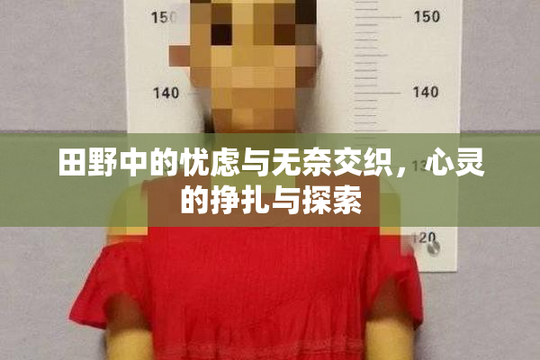 田野中的忧虑与无奈交织，心灵的挣扎与探索