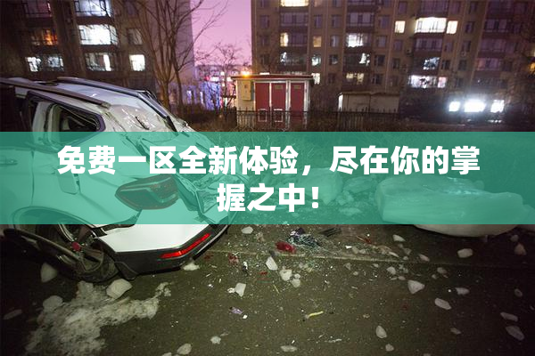 免费一区全新体验，尽在你的掌握之中！