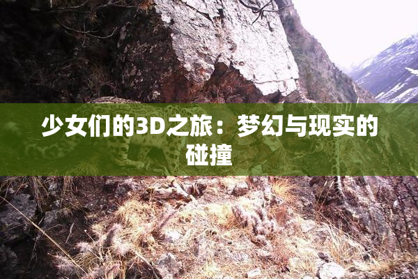 少女们的3D之旅：梦幻与现实的碰撞