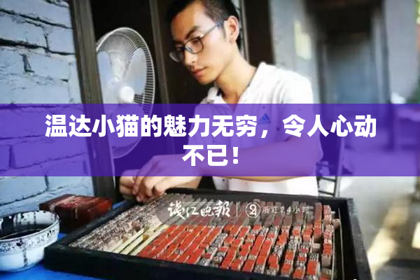 温达小猫的魅力无穷，令人心动不已！