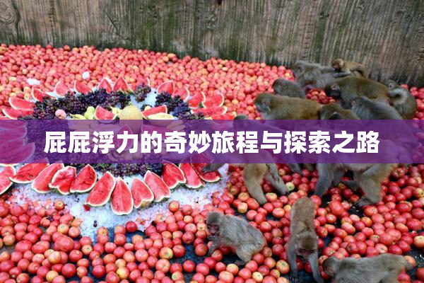 屁屁浮力的奇妙旅程与探索之路