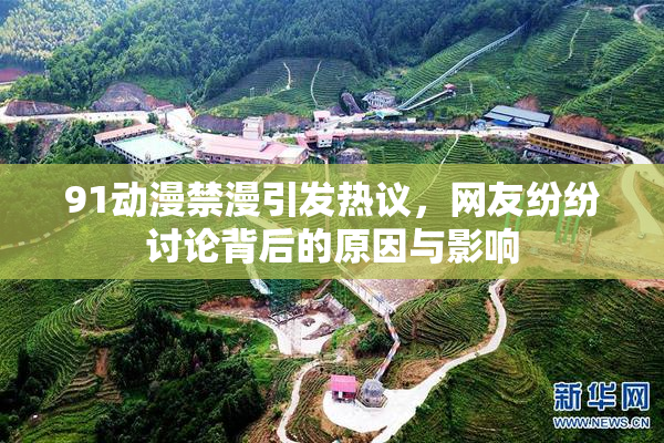 91动漫禁漫引发热议，网友纷纷讨论背后的原因与影响