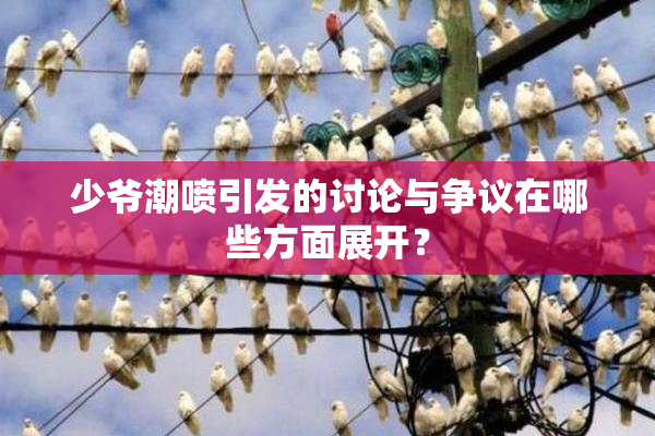少爷潮喷引发的讨论与争议在哪些方面展开？