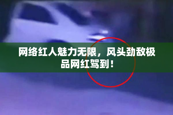 网络红人魅力无限，风头劲敌极品网红驾到！