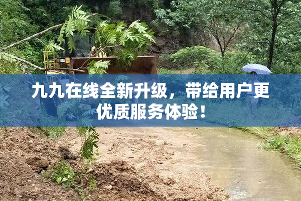 九九在线全新升级，带给用户更优质服务体验！
