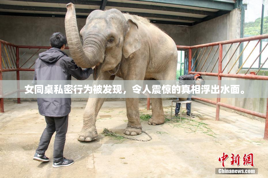 女同桌私密行为被发现，令人震惊的真相浮出水面。