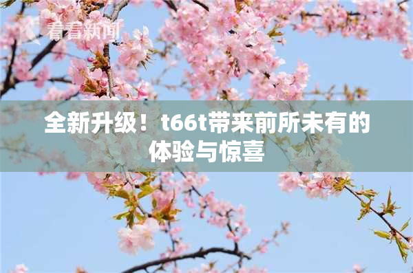 全新升级！t66t带来前所未有的体验与惊喜