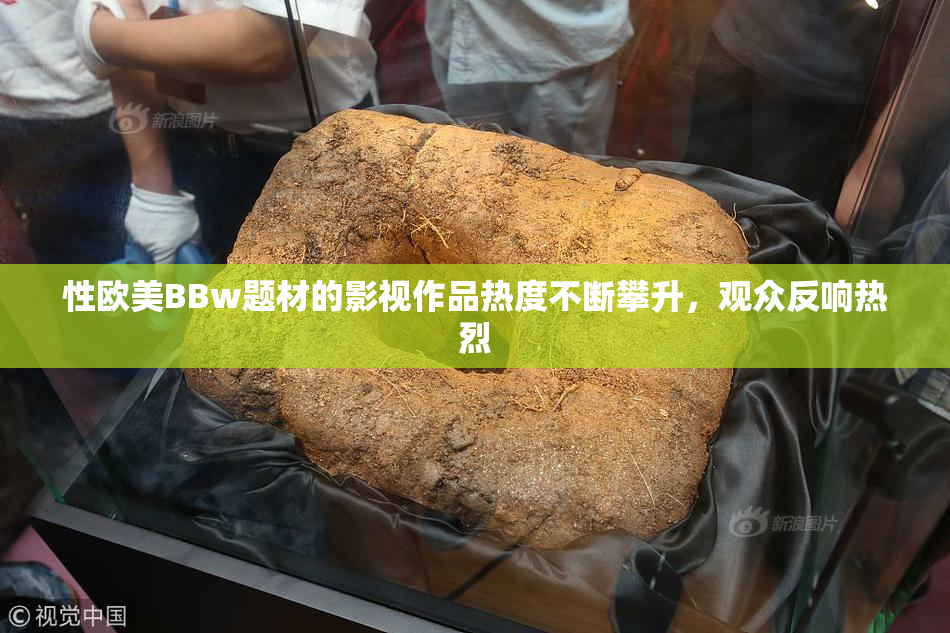 性欧美BBw题材的影视作品热度不断攀升，观众反响热烈
