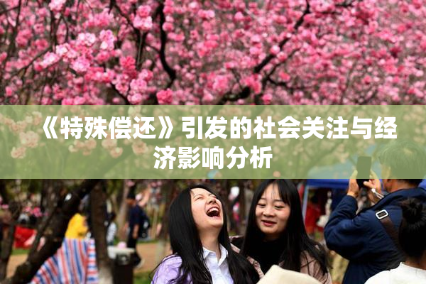 《特殊偿还》引发的社会关注与经济影响分析