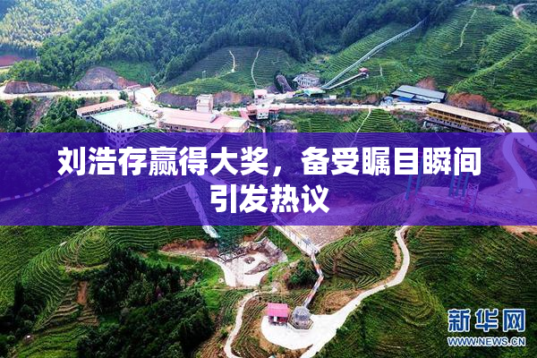 刘浩存赢得大奖，备受瞩目瞬间引发热议