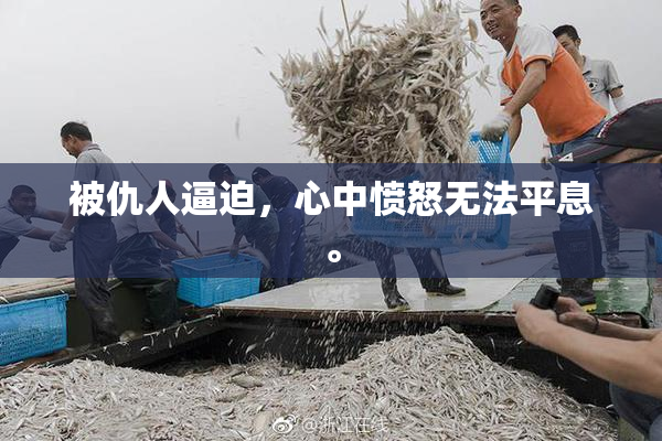 被仇人逼迫，心中愤怒无法平息。