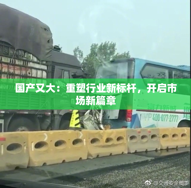 国产又大：重塑行业新标杆，开启市场新篇章