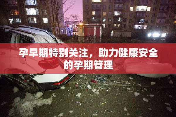 孕早期特别关注，助力健康安全的孕期管理