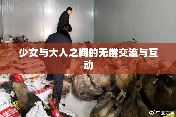 少女与大人之间的无偿交流与互动