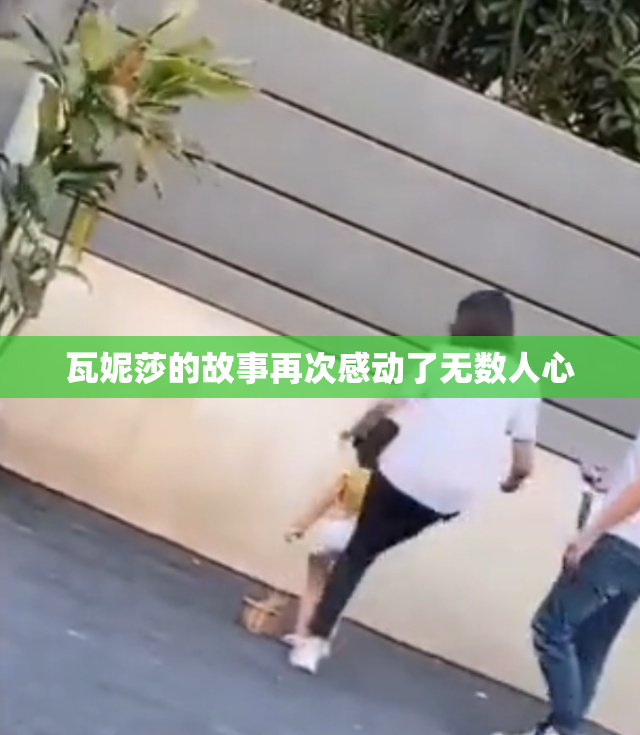 瓦妮莎的故事再次感动了无数人心