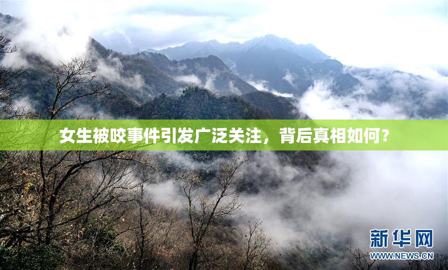 女生被咬事件引发广泛关注，背后真相如何？