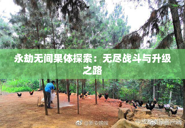 永劫无间果体探索：无尽战斗与升级之路