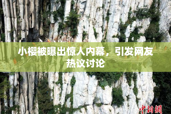 小樱被曝出惊人内幕，引发网友热议讨论