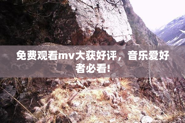 免费观看mv大获好评，音乐爱好者必看!