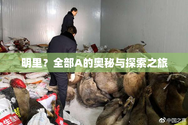 明里？全部A的奥秘与探索之旅