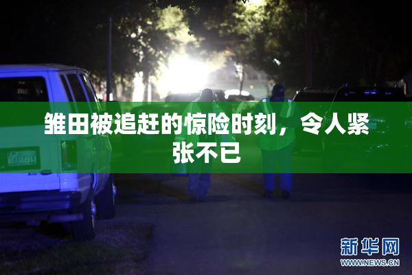 雏田被追赶的惊险时刻，令人紧张不已