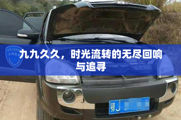 九九久久，时光流转的无尽回响与追寻